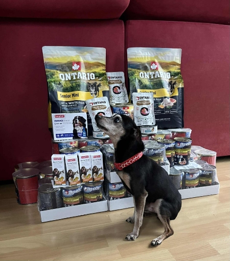 Psí senioři v nouzi, z.s.